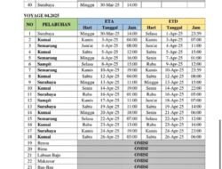 Jadwal Pelayaran Kapal Pelni KM Leuser Tahun 2026: Rute dan Perubahan untuk Menghadapi Arus Mudik