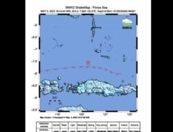 Gempa Bumi Magnitudo 4,7 Guncang Wilayah Flores Timur, Ratusan Rumah Rusak