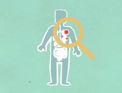 Berita Terbaru Terpopuler Hari Ini: Apa yang Membuatnya Viral?