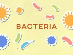 Berita Terkini Hari Ini: Update Cepat & Insight Mendalam untuk Semua Pembaca