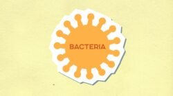 Berita Internasional Terkini: Insight Mendalam dan Fakta Eksklusif yang Wajib Anda Ketahui