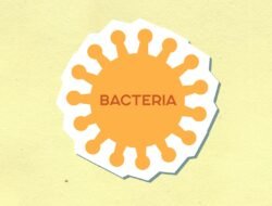 Berita Internasional Terkini: Insight Mendalam dan Fakta Eksklusif yang Wajib Anda Ketahui
