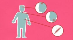 Kisah Seru di Balik Berita Hari Ini: Apa yang Teman-Teman Lewatkan?